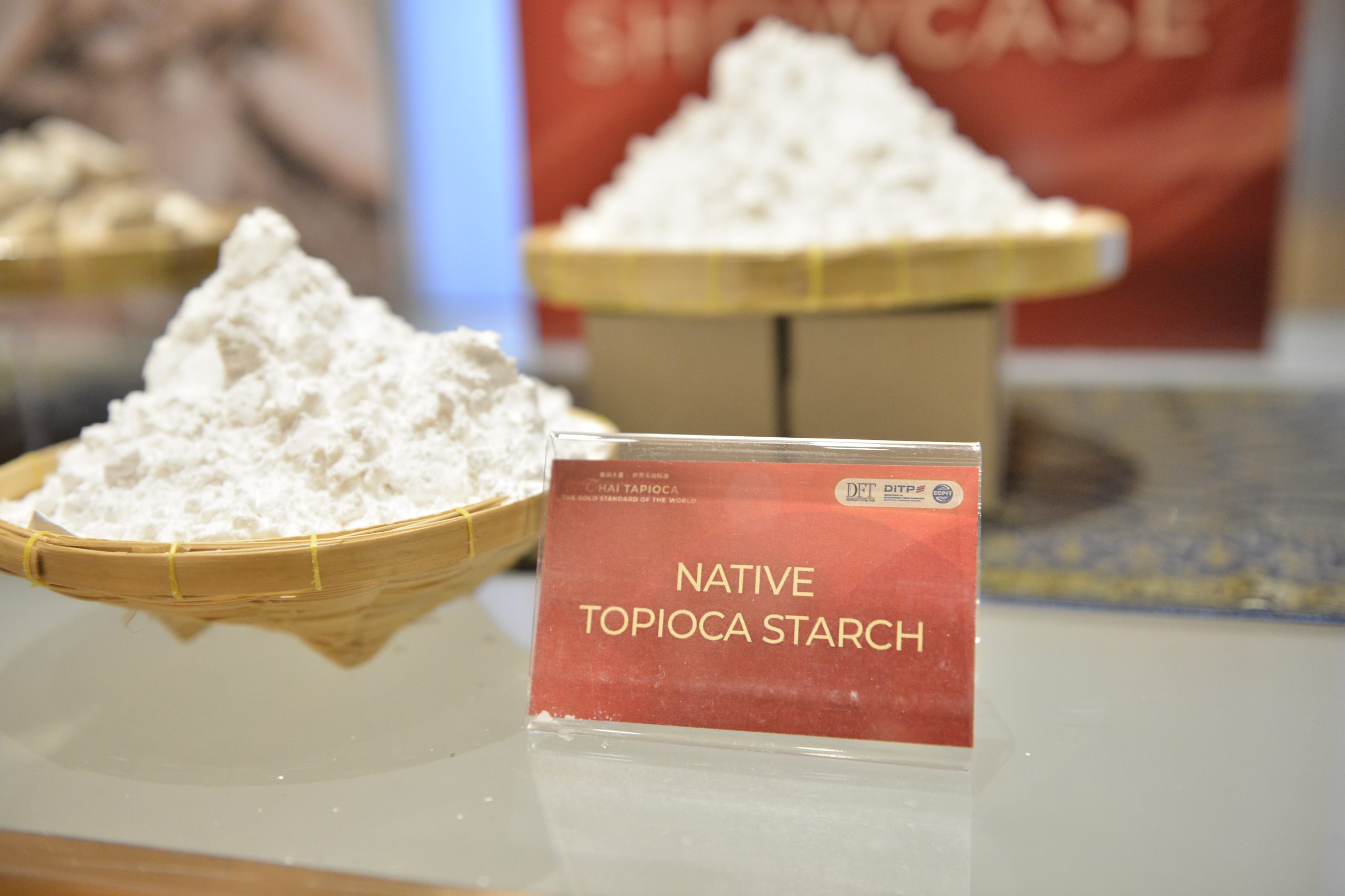 มันสำปะหลังไทยบุก “ฉงชิ่ง” ตลาดใหม่แดนมังกร ปังเกินคาด กวาดออเดอร์กว่า 2,000 ล้านบาท