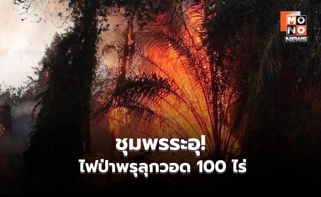 ชุมพรระอุ! ไฟป่าพรุลุกวอด 100 ไร่ ลามเร็วท่ามกลางอากาศร้อน