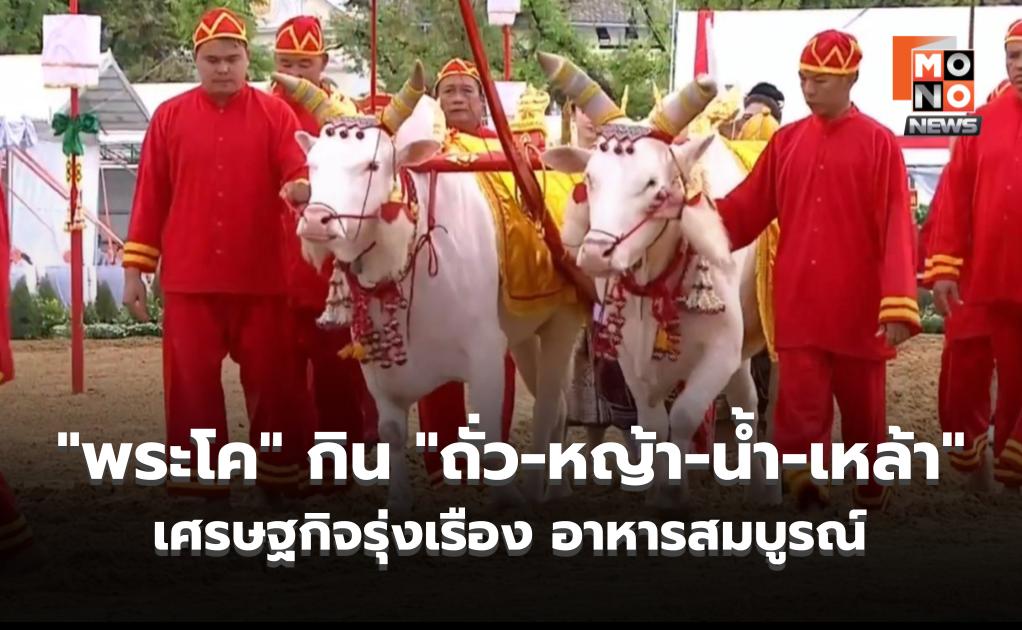 เปิดคำทำนาย! “พระโค” กิน “ถั่ว-หญ้า-น้ำ-เหล้า” ชี้ เศรษฐกิจรุ่งเรือง อาหารสมบูรณ์