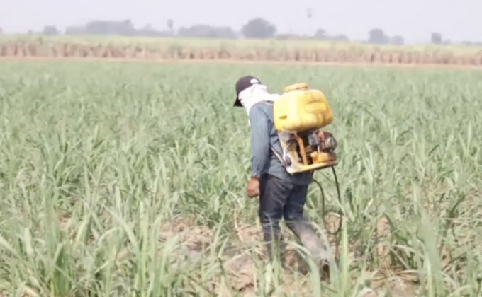 ผู้นำเข้าสารเคมีเกษตรเตรียมฟ้องศาลปกครอง