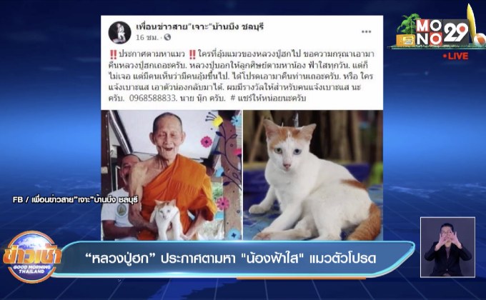 “หลวงปู่ฮก” ประกาศตามหา”น้องฟ้าใส” แมวตัวโปรด
