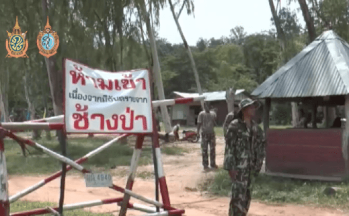 ป้องกันช้างป่าทำร้ายคน จ.บุรีรัมย์