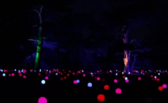 ชมไฟคริสต์มาสในสวนพฤกษศาสตร์ลอนดอน