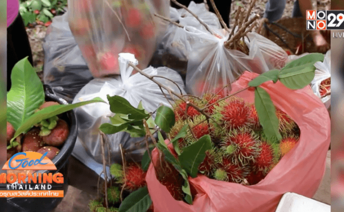 พาณิชย์ลงพื้นที่ช่วยเกษตรกรรับมือภัยแล้ง