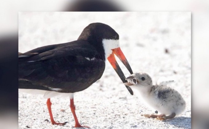 “ก้นบุหรี่” อันตรายกว่าที่คิด