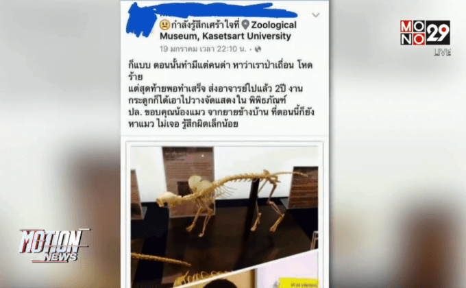 ม.เกษตรศาสตร์ลงโทษนิสิตกุข่าวฆ่าแมว