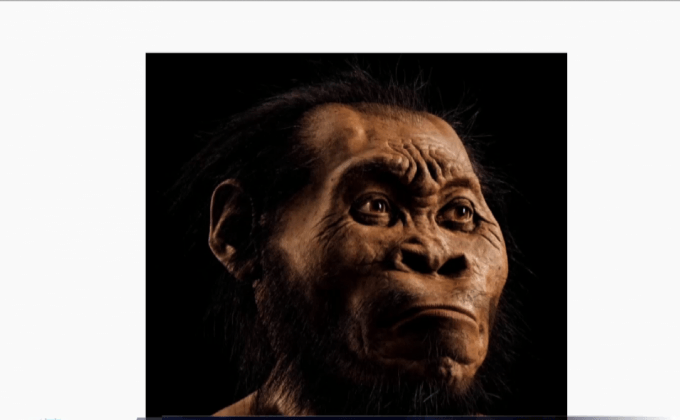 ค้นพบบรรพบุรุษมนุษย์ในแอฟริกาใต้