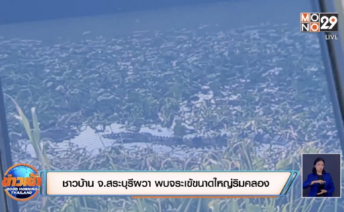 ชาวบ้าน จ.สระบุรีผวา พบจระเข้ขนาดใหญ่ริมคลอง