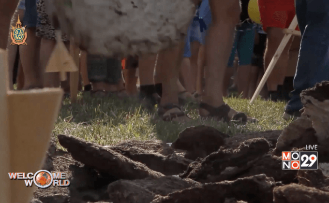 แข่งขันขว้างมูลวัวในรัสเซีย