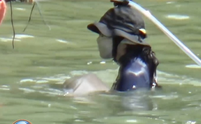 “มาเรียม” อาการดีขึ้น แพทย์ยังเฝ้าระวัง