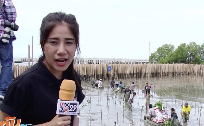 เปิดเส้นทางศึกษาธรรมชาติบางขุนเทียน