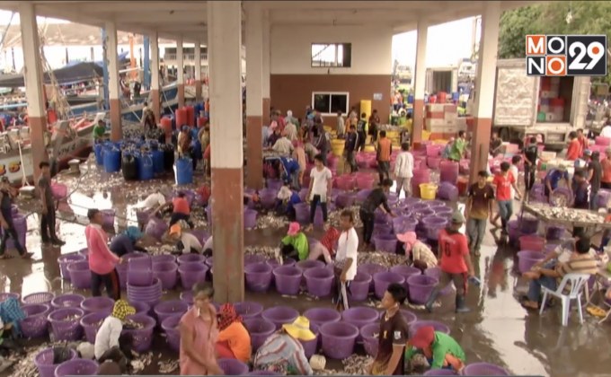 ทิศทางการพัฒนาประชากรข้ามชาติ