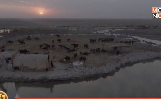 พื้นที่ชุ่มน้ำในอิรักกำลังเสี่ยงต่อการถูกทำลาย