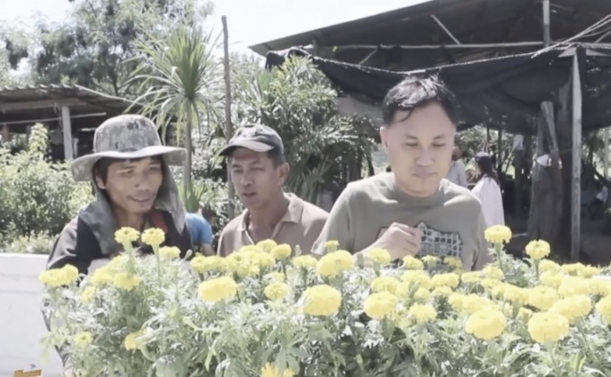 ประชาชนแห่ซื้อต้นดาวเรือง ร่วมแสดงความอาลัย