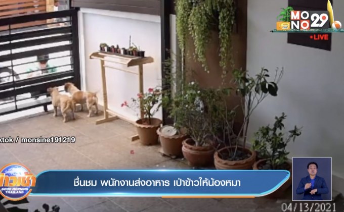 ชื่นชม พนักงานส่งอาหาร เป่าข้าวให้น้องหมา