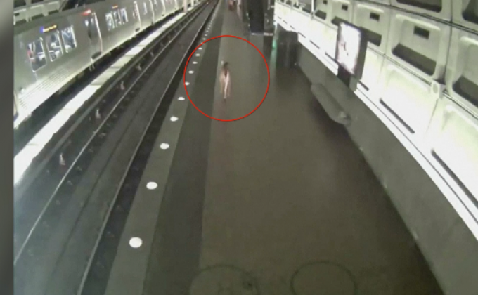 ผู้โดยสารงง! กวางหลงเข้าสถานีรถไฟ