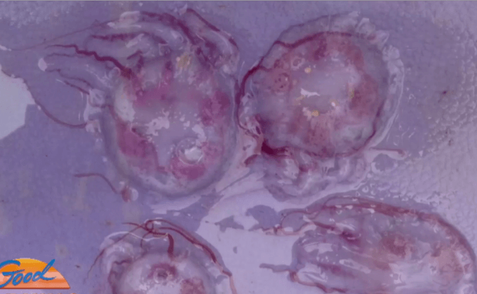 นทท.เยอรมันโดนพิษแมงกะพรุนกล่อง ดับ 1 ราย