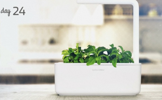 เปิดตัว “สวนผักอัจฉริยะ” ในงาน IFA