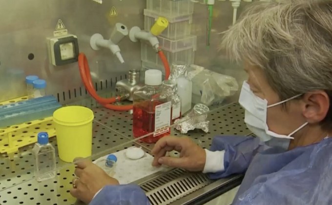 ของเหลวจากไส้เดือนช่วยทำลายเซลล์มะเร็งปอด