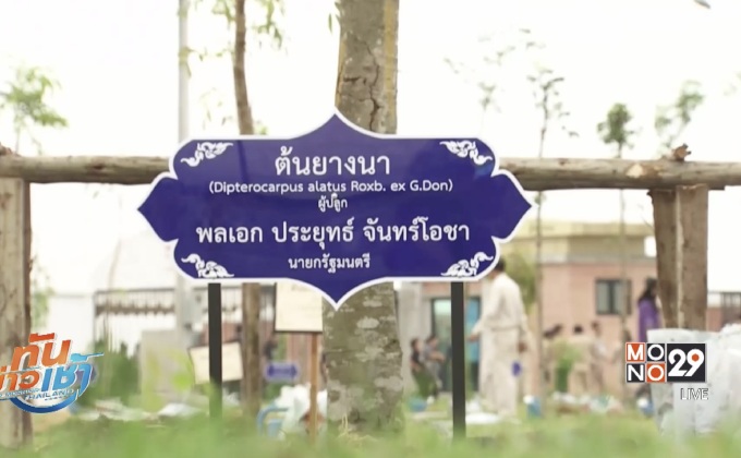โครงการประชารัฐร่วมใจปลูกต้นไม้ให้แผ่นดิน