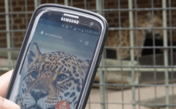 แอปให้ข้อมูลในสวนสัตว์เยอรมนี