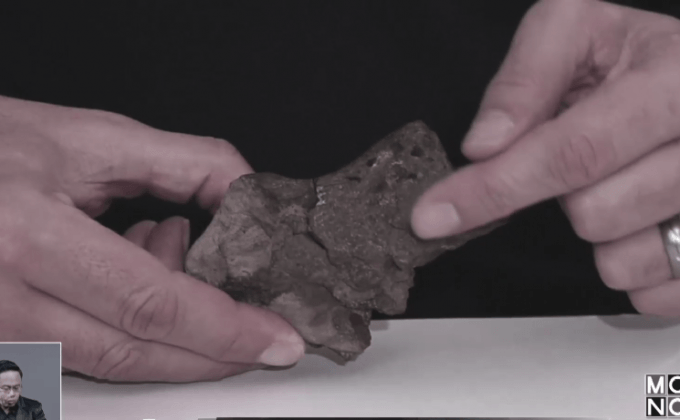 ค้นพบฟอสซิลเนื้อเยื่อสมองไดโนเสาร์ครั้งแรก