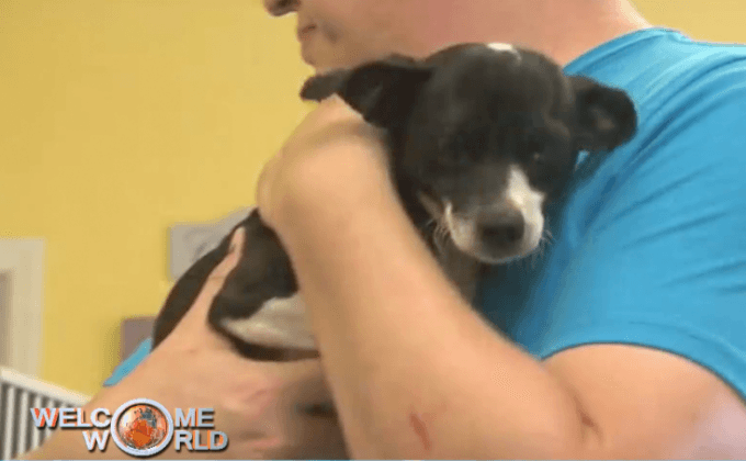 เดือนแห่งการรับเลี้ยงสุนัขไร้บ้าน