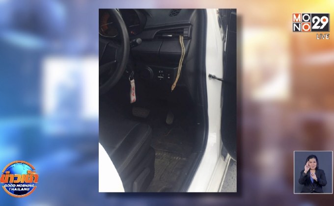 แทบช็อก! เจองูโผล่ตรงช่องแอร์ในรถยนต์