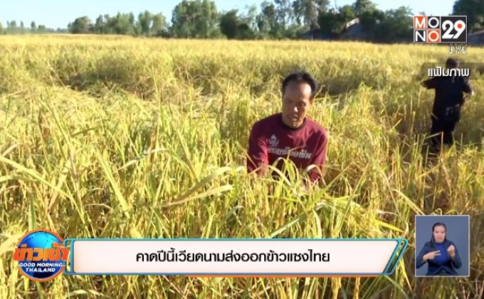 คาดปีนี้เวียดนามส่งออกข้าวแซงไทย