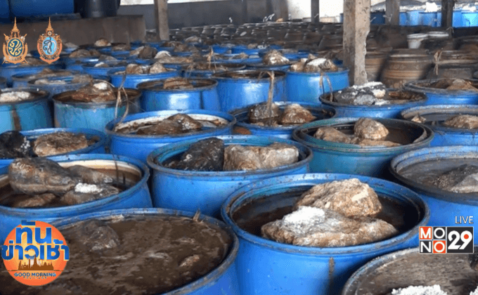 สธ.ชัยนาท คาดโทษโรงงานปลาร้าปนซากงู