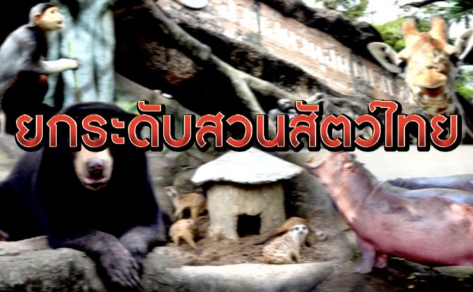 The Morning – สวนสัตว์เมืองไทยพัฒนาไปไกลแค่ไหนแล้ว?