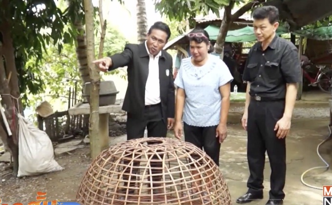 ยืนยันไม่พบการระบาดของไข้หวัดนก