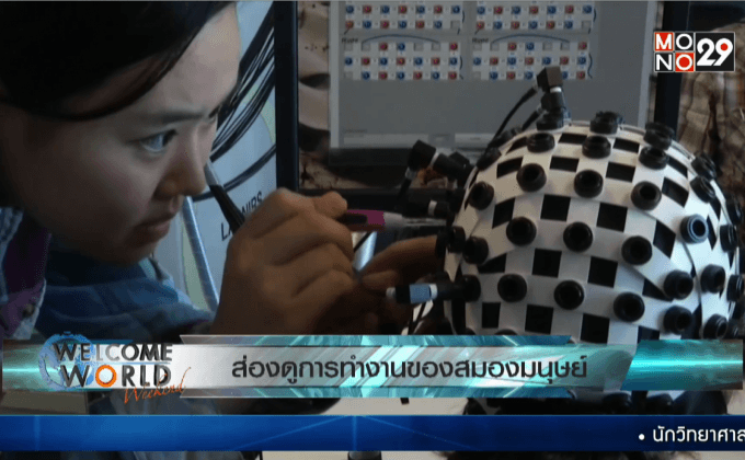 ส่องดูการทำงานของสมองมนุษย์