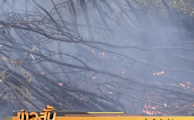 จ. นครศรีฯ ประกาศเขตภัยพิบัติ พื้นที่ไฟไหม้ป่าพรุควนเคร็ง