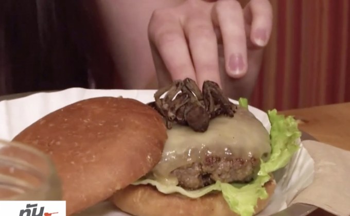 เบอร์เกอร์แมงมุมทารันทูล่าในสหรัฐฯ