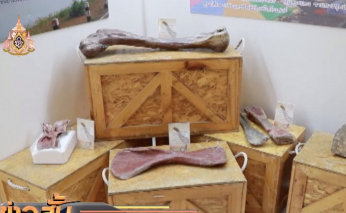 พบสุสานไดโนเสาร์ชนิดใหม่ของโลก จ.สระแก้ว