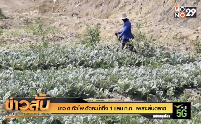 ชาว ต.หัวโพ ตัดคะน้าทิ้ง 1 แสน ก.ก. เพราะล้นตลาด