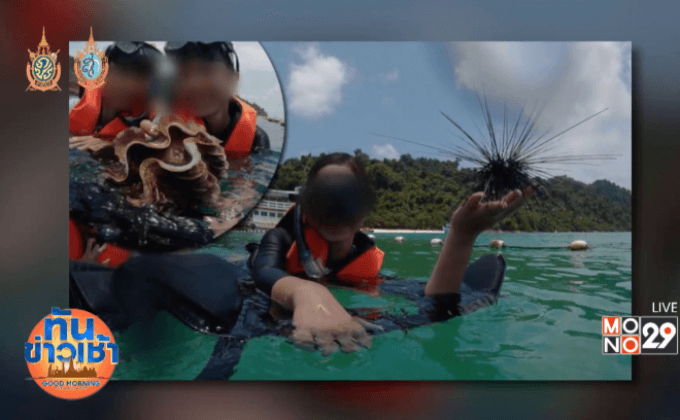 แชร์ว่อน! นักท่องเที่ยวจับหอยเม่น-หอยมือเสือ ถ่ายรูปเล่น