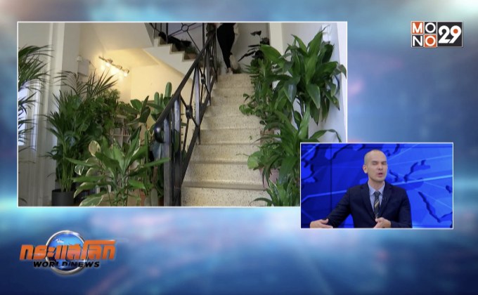 โรงแรมสำหรับต้นไม้แห่งแรกของโลก