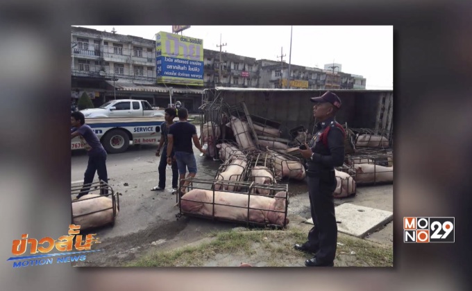 อุบัติเหตุหมูตกรถเกลื่อนถนน จ.นครปฐม