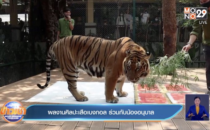 ผลงานศิลปะเสือเบงกอล ร่วมกับน้องอนุบาล