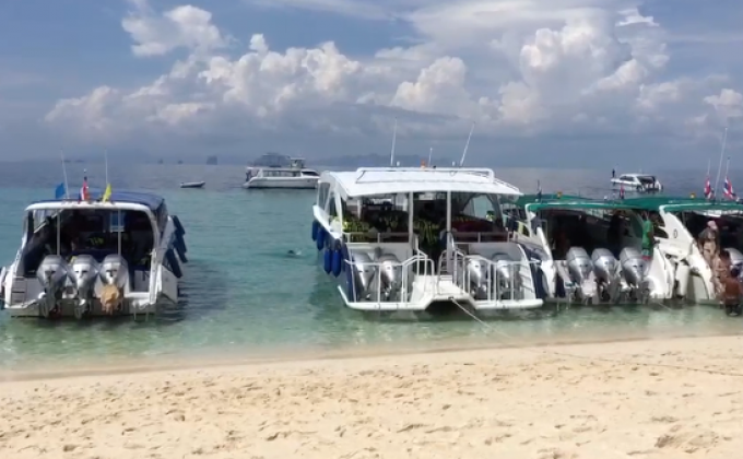 กรมอุทยานฯ ชี้ครีมกันแดดทำปะการังอ่าวมาหยาตาย