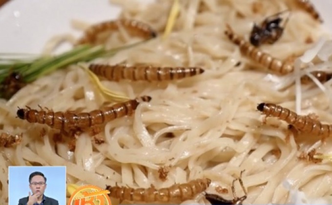 ราเมนแมลงในญี่ปุ่น