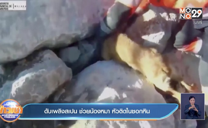 ดับเพลิงสเปน ช่วยน้องหมา หัวติดในซอกหิน