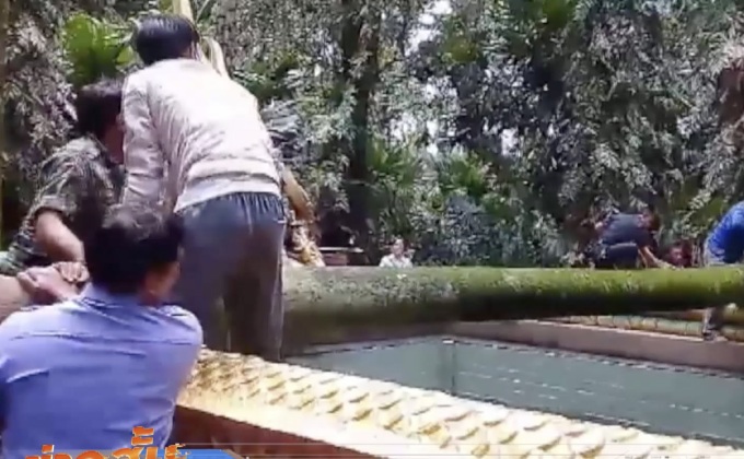 ต้นชะโนดหักโค่นหลังเกิดพายุลมแรง