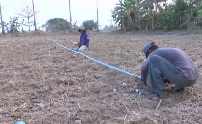 หลายจังหวัดได้รับผลกระทบจากภัยแล้ง