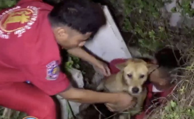 กู้ภัยช่วยสุนัขตกท่อ