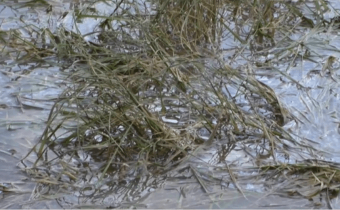 สถานการณ์น้ำท่วมในหลายพื้นที่