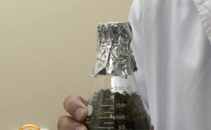 สรรพสามิตชงคลังเก็บภาษีกัญชา