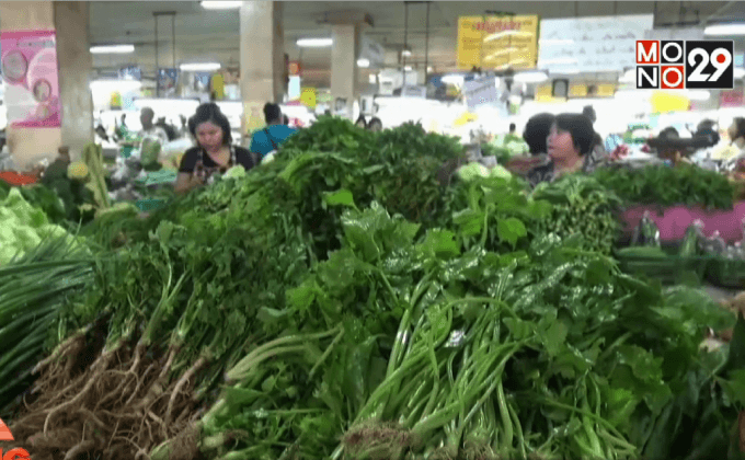 ผักแพงรับกินเจ บางชนิดสูงสุดในรอบหลายปี